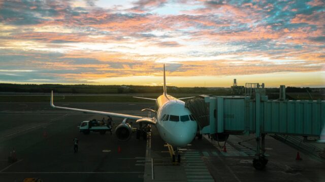 flight dawn sunset flying