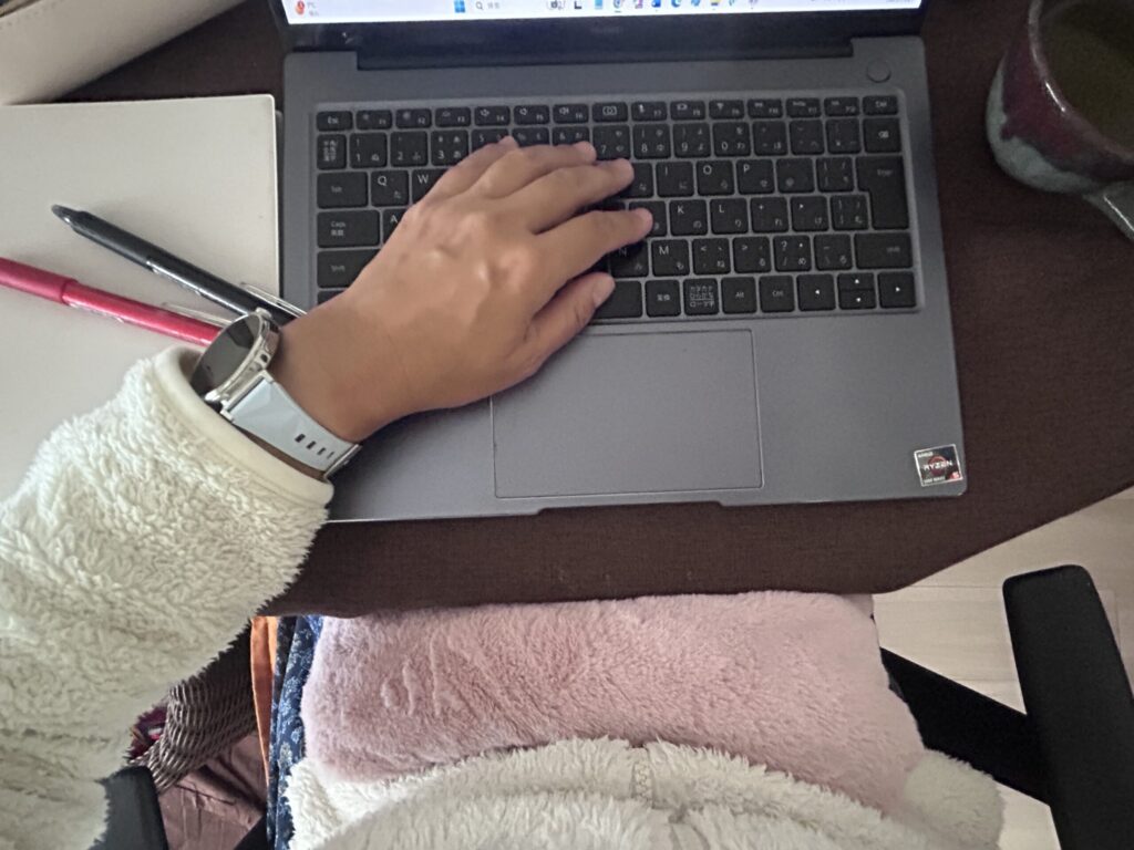 HAGOOGI 蓄熱式電気湯たんぽ LEX-8008